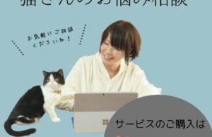 2026年度にゃんコール会員【猫さんのお悩み相談】募集開始のご案内