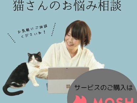 2026年度にゃんコール会員【猫さんのお悩み相談】募集開始のご案内